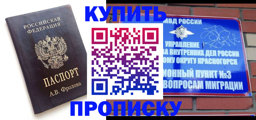 прописка поиск в Мурманской области